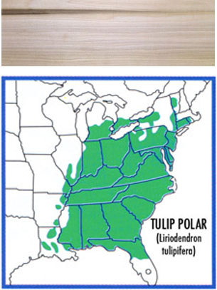map of where tulip poplar grows and a wood swatch